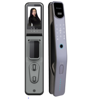 Tuya WiFi Smart Lock D1 with Facial Recognition, Fingerprint, Password, Card, Cat's Eye, HD Display, Mobile App, Remote Unlock, Black